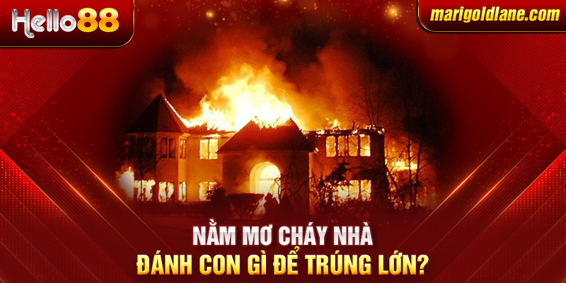 Nằm mơ cháy nhà - Đánh con gì để trúng lớn?